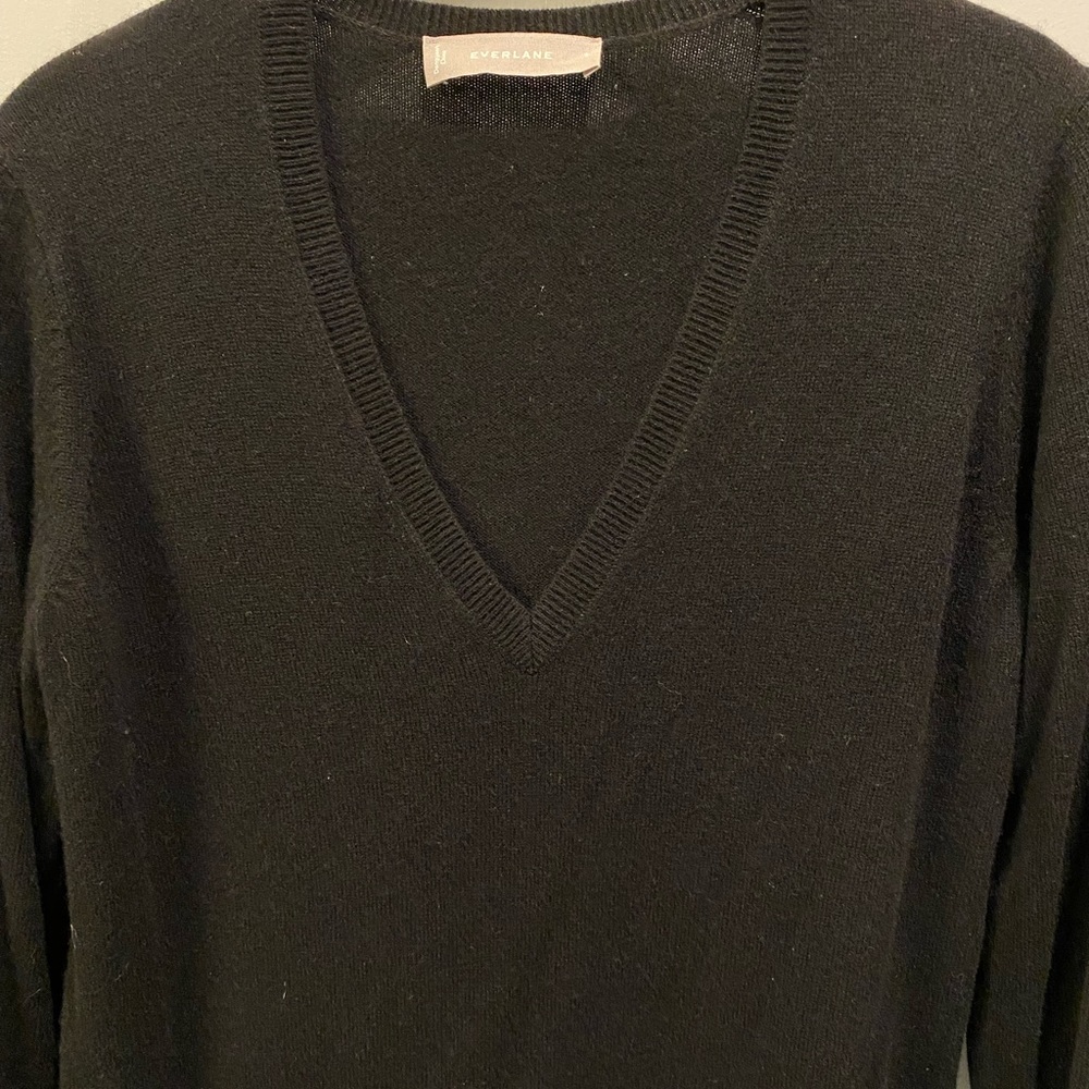 Everlane Cashmere Sweater Dress